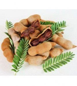 TAMARIND 400g
(සියබල)